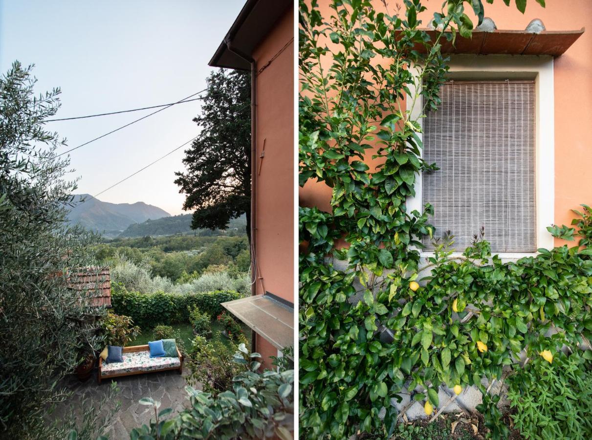 Casetta Di Butia, Gelsomino Apartment Borgo a Mozzano Exterior foto