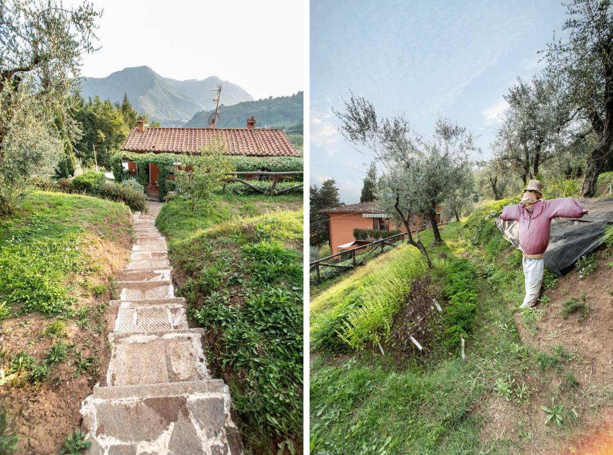 Casetta Di Butia, Gelsomino Apartment Borgo a Mozzano Exterior foto